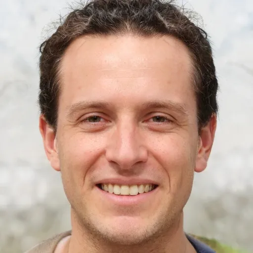 Pieter de Vries